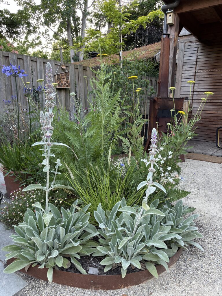 Beplantingsplan Heemstede